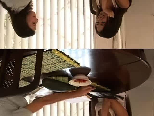 Lesbians hardcore licking pussies