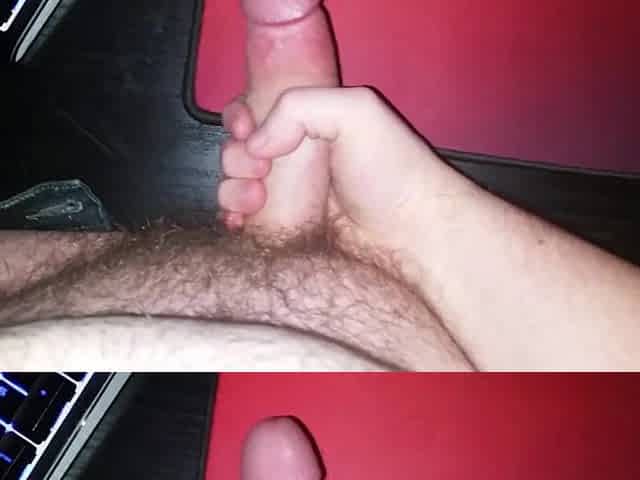 Large white jock
