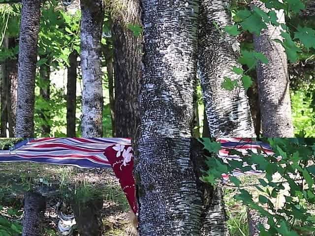 Orgasm in the Forest - Peeker POV