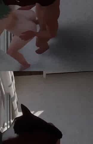 A mask guy fucks girl in front of the window