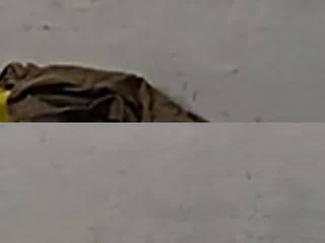 Tamil Stepaunty Enjoy in Video Call