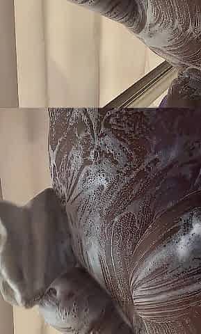 Shower and cum with me 5 months preggy