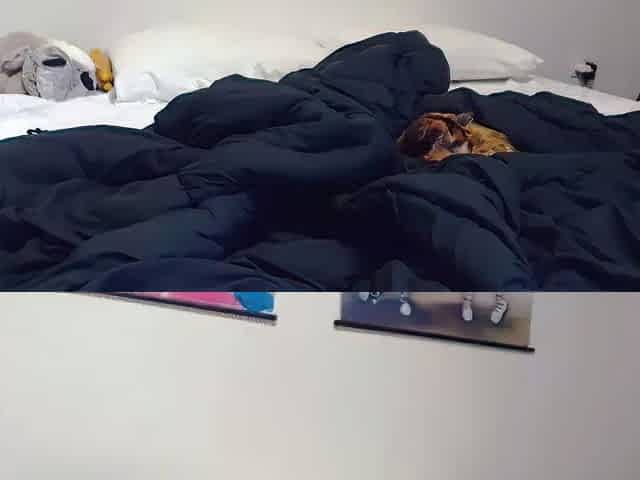 Amateur Webcam Teen Masturbates And Teases