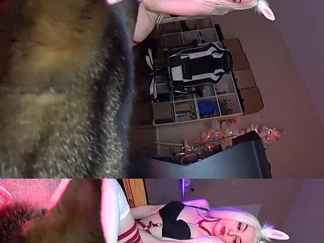 Blond in lovely bunny cosplay desires cheerful Recent Year 2021!
