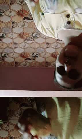 Desi Bhabhi