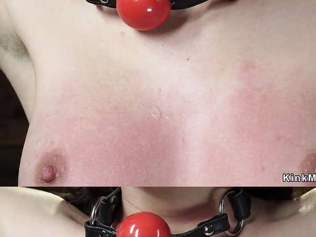 Hogtie suspension for small brunette hair