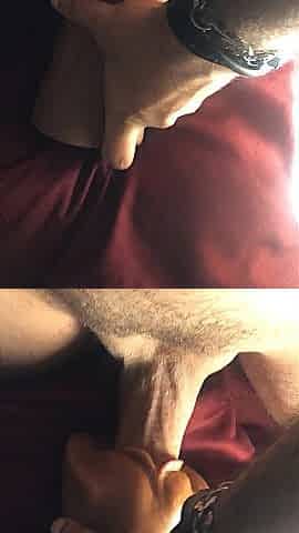 RAW Sexting Clips ???? Solo Hunk Jerking Off Compilation