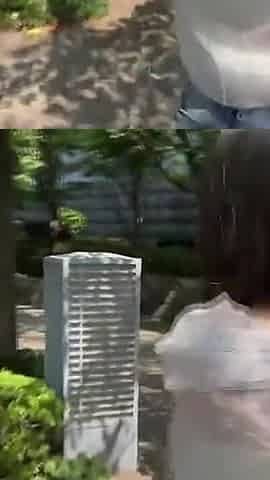 Asian Angel 24844