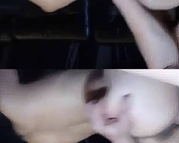 Big-Ass Milf Handles a 10-Inch Cock on Webcam