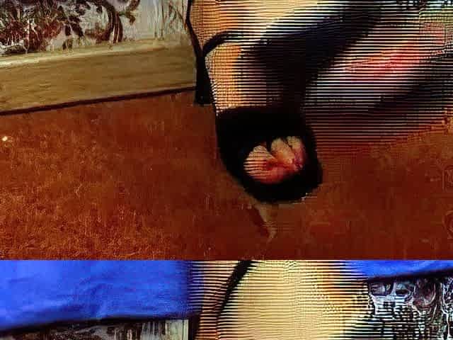 Amateur porn Gives Us Some Foot Fetish Aurora