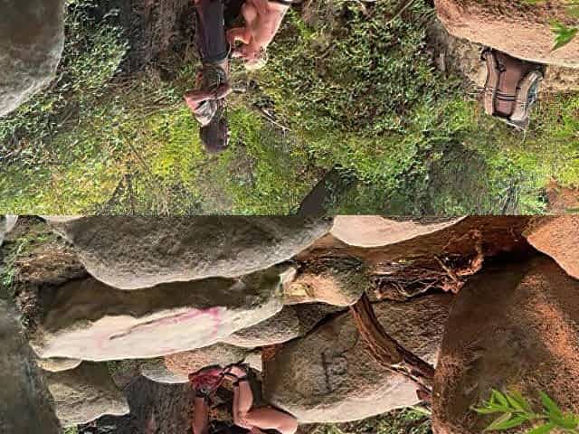 Voyeur pair in nature oral