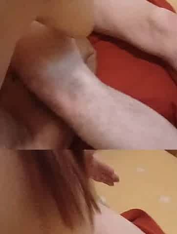 Sex