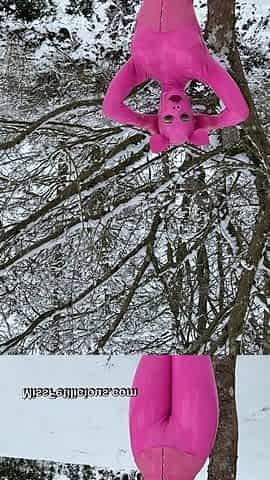 Snow Piggy