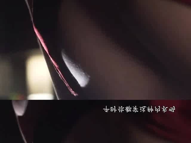 Beautiful Busty Japanese Australian MILF (Decensored)