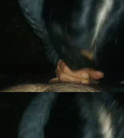 My wife is trying to make this cock-sucking last in my memory