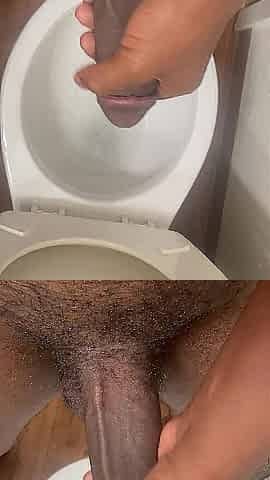 Large Ebony Dong Spunk fountain