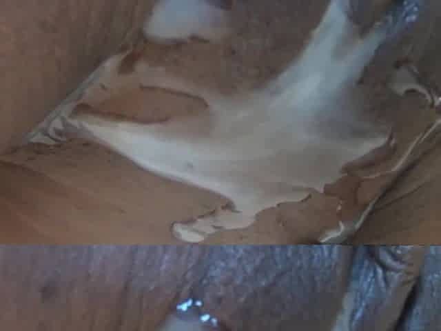 Cum on black bald teen twat