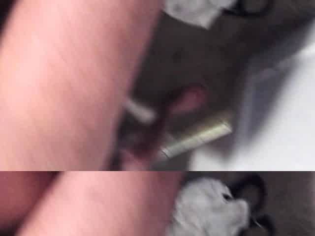 Amateur blowjob and cumshot i love cock