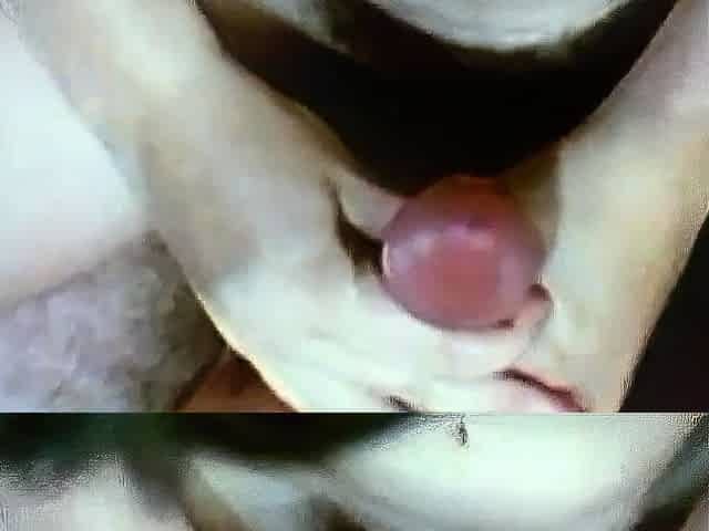 Cute amateur asian gives a wet blowjob