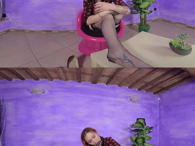 Smoking-hot Ammalia Licks Her Aching, Smelly Feet