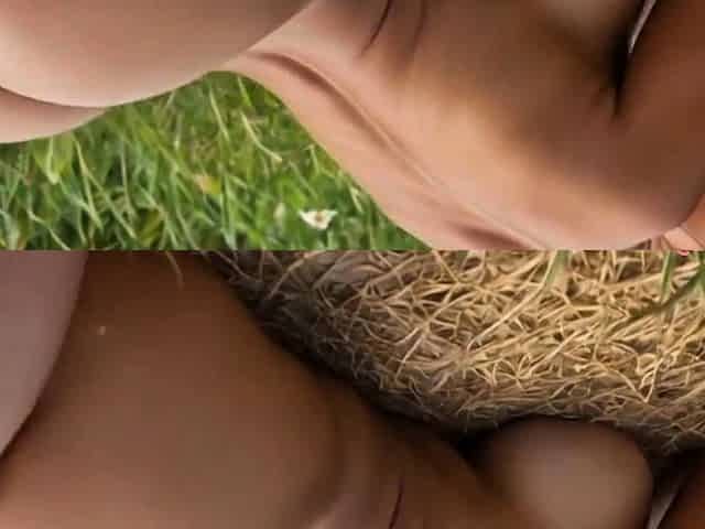 Outdoor Doggy with Massive Ebony Ass Riding Hard Cock