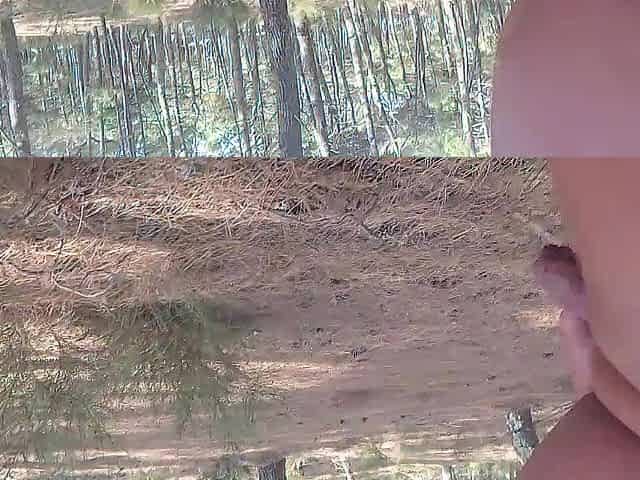I walk exposed in the forest