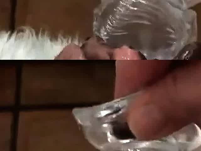 Close-Up Dildo Selfie
