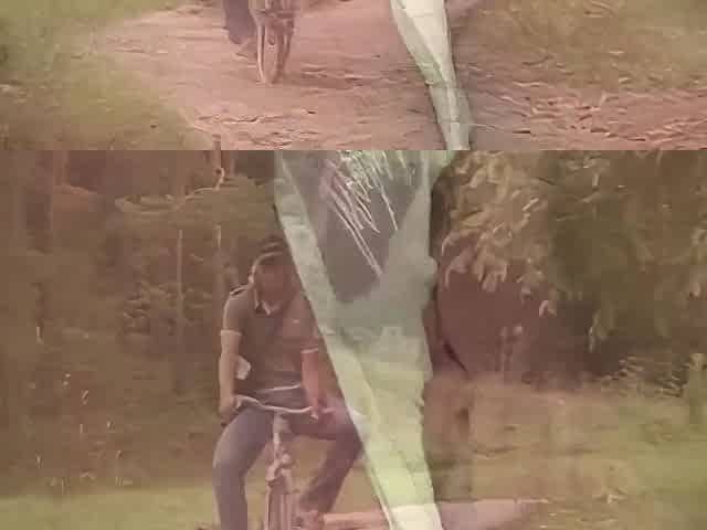 Fucking The Mail Man On The Lawn