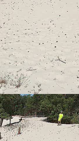 Desert public striptease