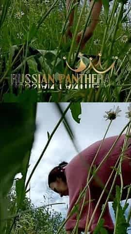 Naked Horny MILF in a Chamomile Field Masturbates, Pisses and Wards off a Wasp