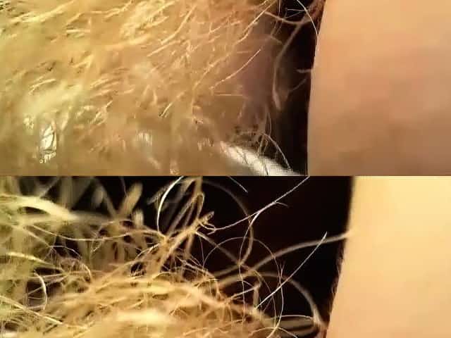 Amateur sexy blonde with huge bush and clit on webcam