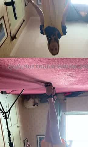 Amateur Blond Give Nice POV Blowjob