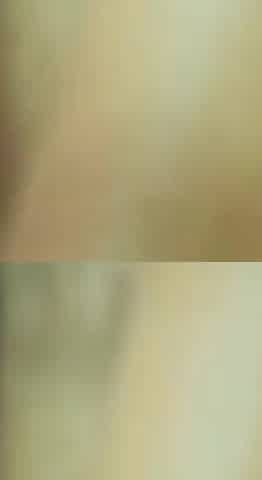 Asian Big Creampie Pussy