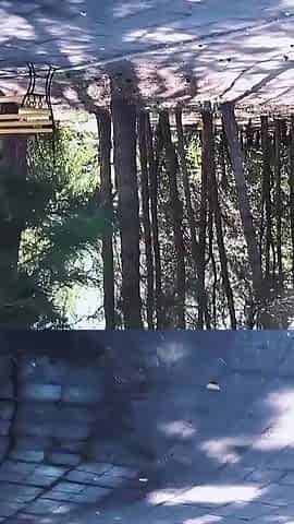 Petite Teen Gets Risky Outdoor Anal in the Park - Almost Caught!