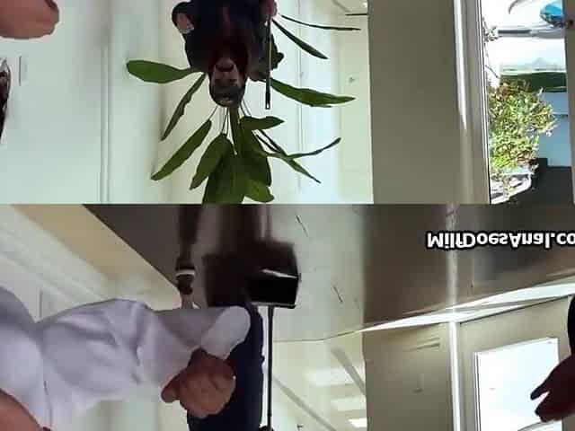 Butt Fucking And Titjob For Karate Win
