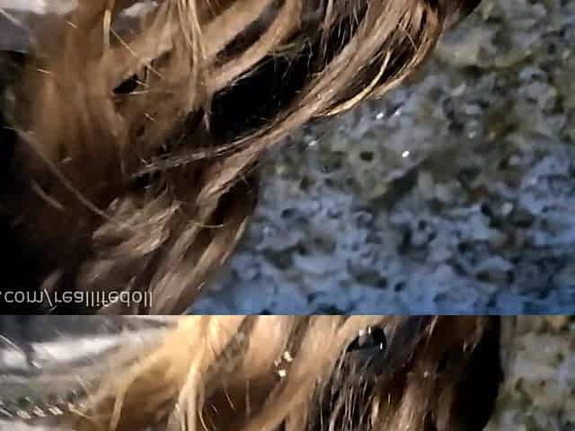 Public banging and masturbating