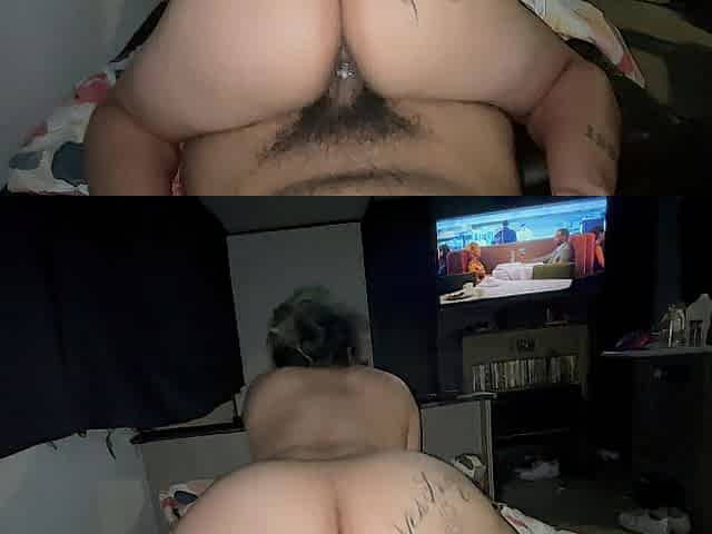 Breeding thick Latin chick