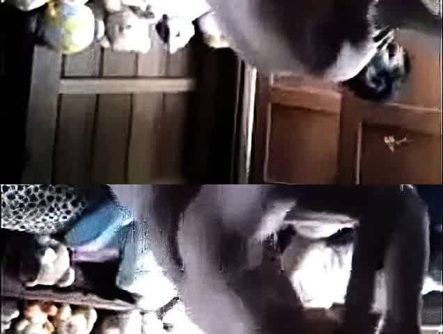 Amateur Asian Babe From Indonesia Reaches Orgasm