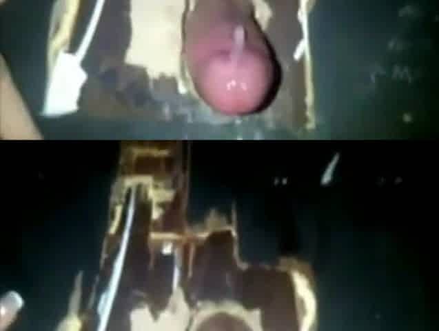 Amateur Gloryhole Comp.