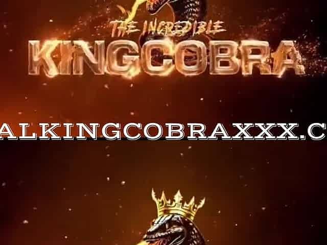Foxxxy Darlin And King Cobra - Adult Model Interview 2 Wants To Be A True Slut