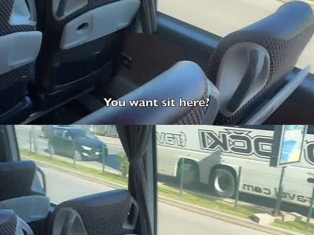 Public Schlong Flashing in the Bus - Pervert Jerks Off On Hotty And That babe Grabs His Rod