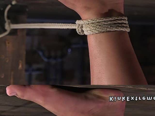 Tiny hogtied thrall shaggy snatch toyed