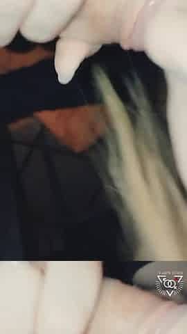 Wife cheats on spouse with brother in law and let's him feed her his cum