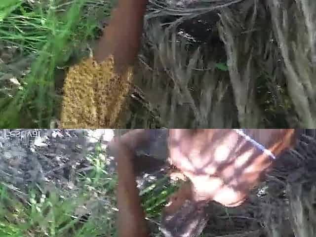 National geographic censored this part due to the way the chief of this Afro tribe was greeted