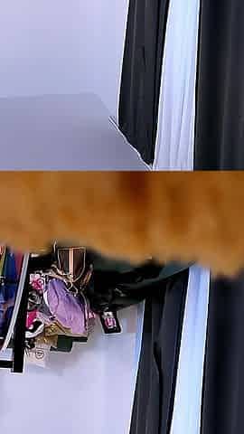 Two Hot Beautiful Amazingly Sexy Girls Do a Try on Haul for Daring Lingerie and Short Skirts
