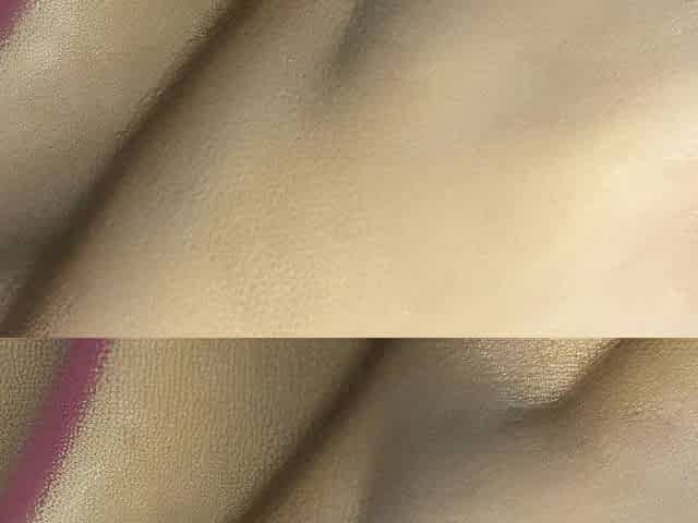 Super moist black vagina
