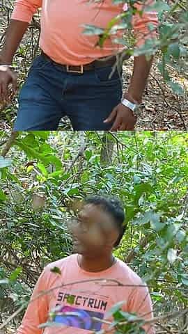A Captivating Tale of Jungle Romance Unfolds as a Couple Embarks on a Memorable Journey