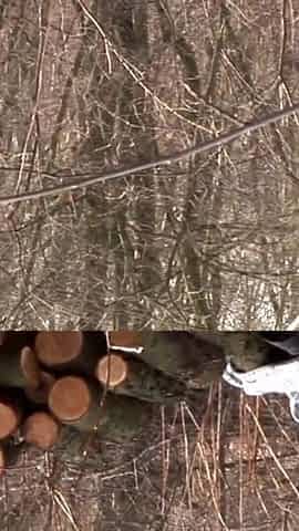 Tattooed blonde gets screwed outdoors