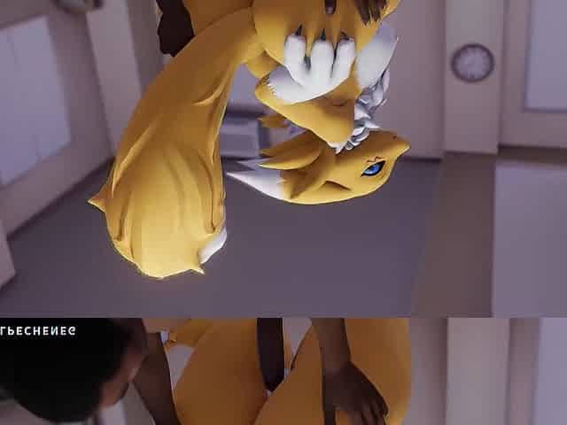 Renamon Yiff Compilation: Volume 1