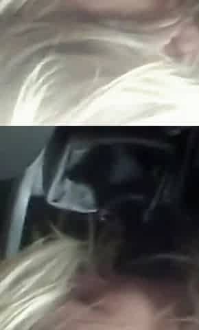 His New Car